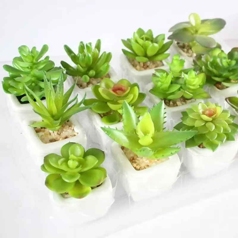 Plantes vertes succulentes artificielles