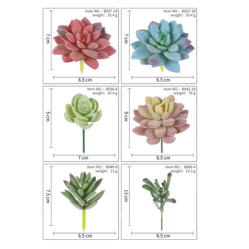 Plantes succulentes artificielles sans pot