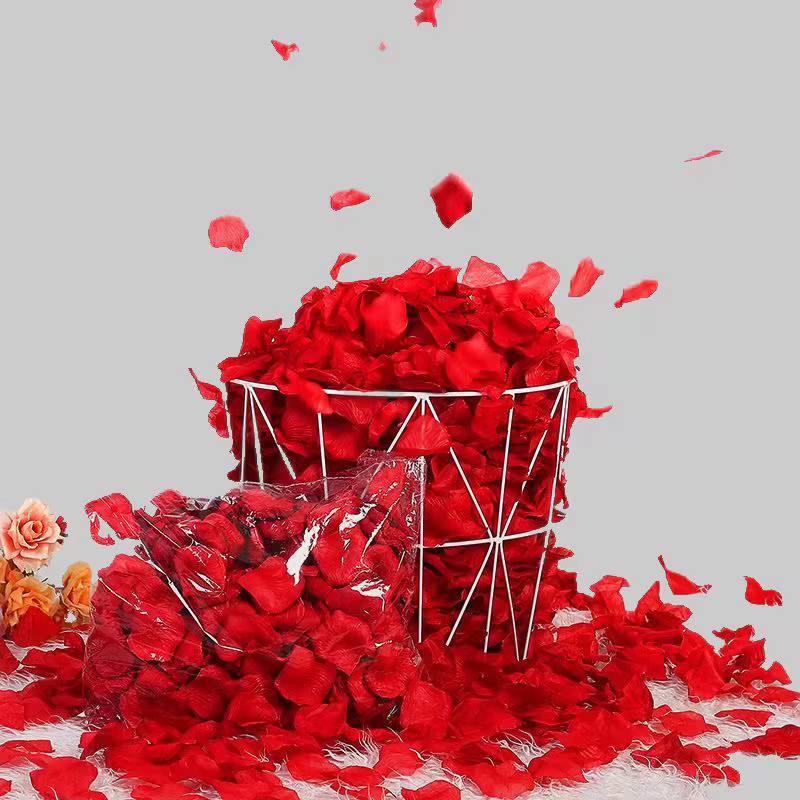 2000 pièces de pétales de Roses en soie