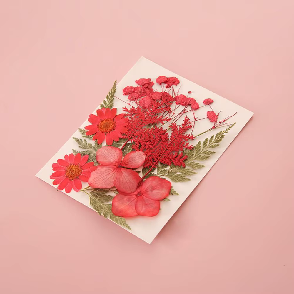 Marque-pages de fleurs séchées, matériaux de bricolage, autocollants de fleurs séchées en PET pressées, marque-page de Page de fleurs d'herbier faites à la main