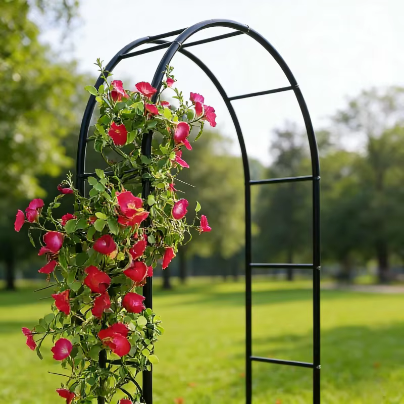Arche de support pour plantes grimpantes d'extérieur