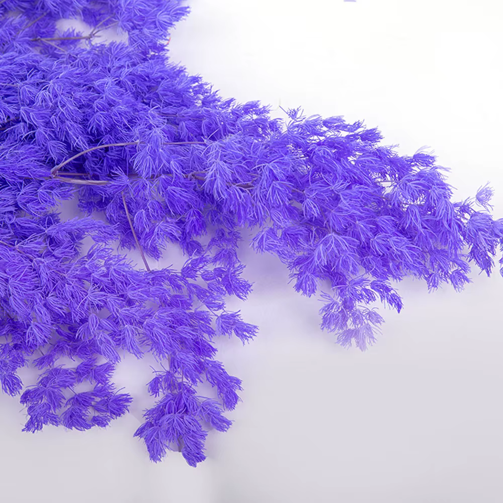 Penglai – fleurs séchées naturelles