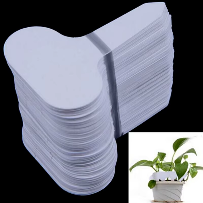 Plaque d'écriture en plastique pour plantes de jardin