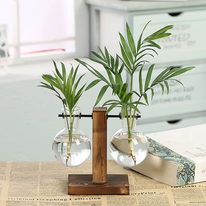 Vases de plantes hydroponiques de terrarium