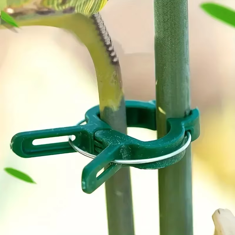 Clips fixes pour plantes réutilisables