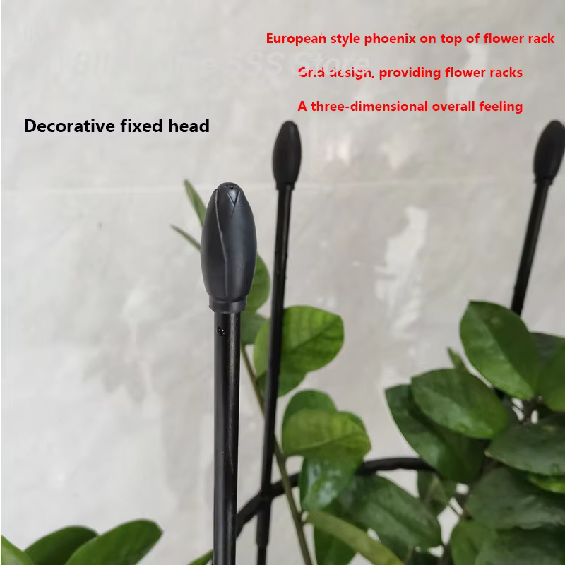 【S】1 ensemble de cages de soutien pour plantes grimpantes