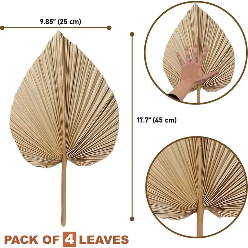 Feuilles de palmier naturelles séchées