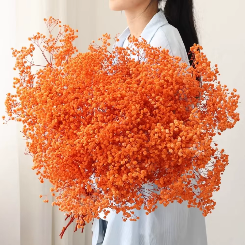 Bouquet de fleurs séchées pour bébé