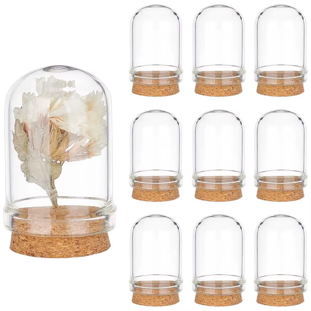 Cloche cloche pot d'affichage en verre dôme avec Base en liège Mini bouteilles en verre dôme pots décoratifs pour le stockage de fleurs décor de fête à la maison
