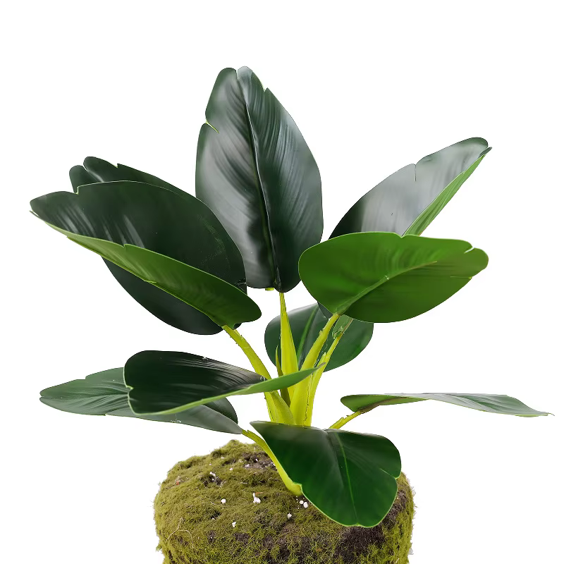 Plantes vertes en plastique pour bureau