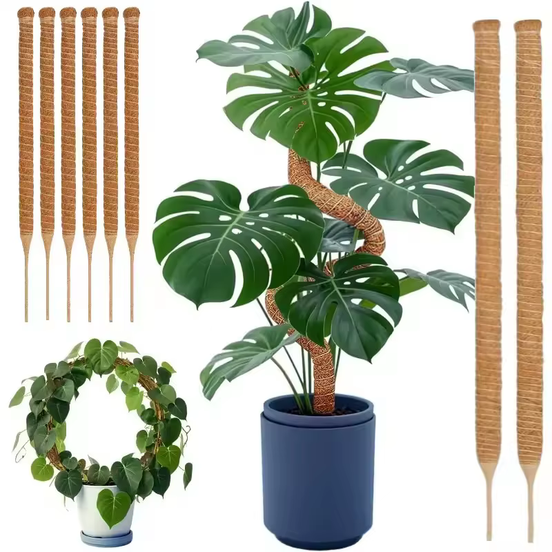 Support de grimpement pliable pour plantes