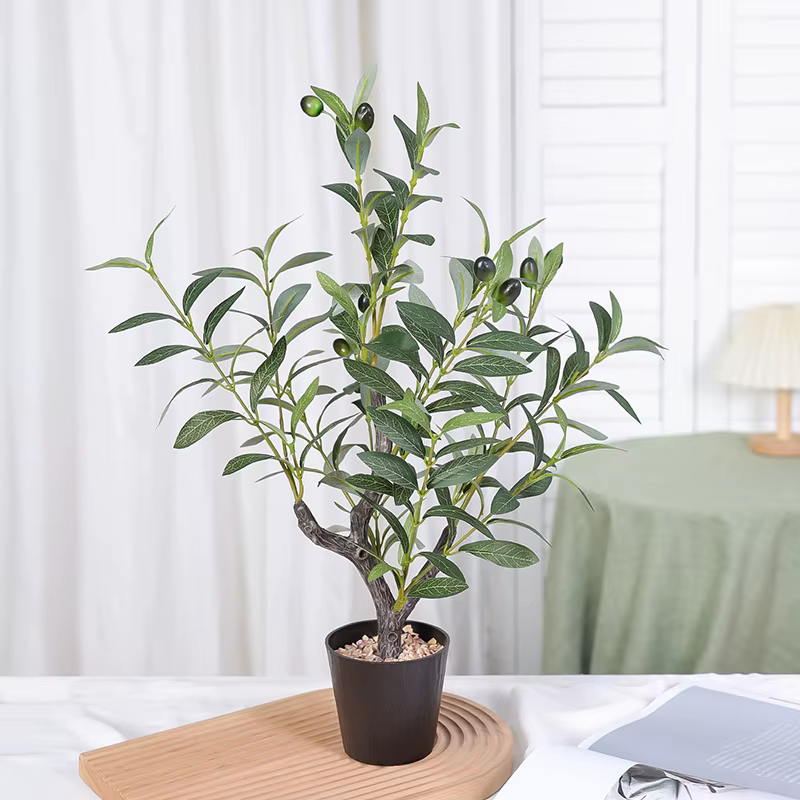 1 arbre de simulation de plante