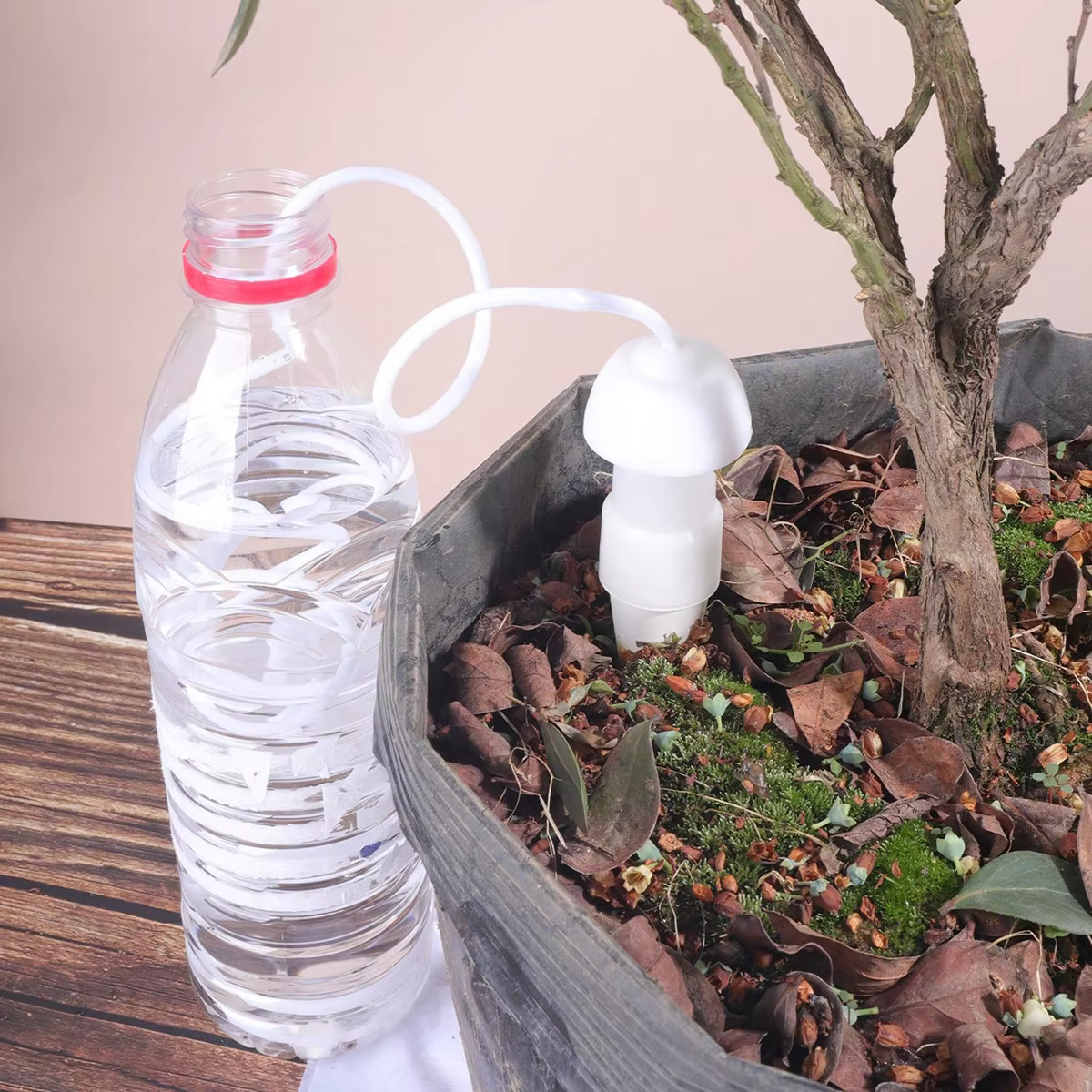 2/4 pièces Arroseur automatique en céramique pour plantes