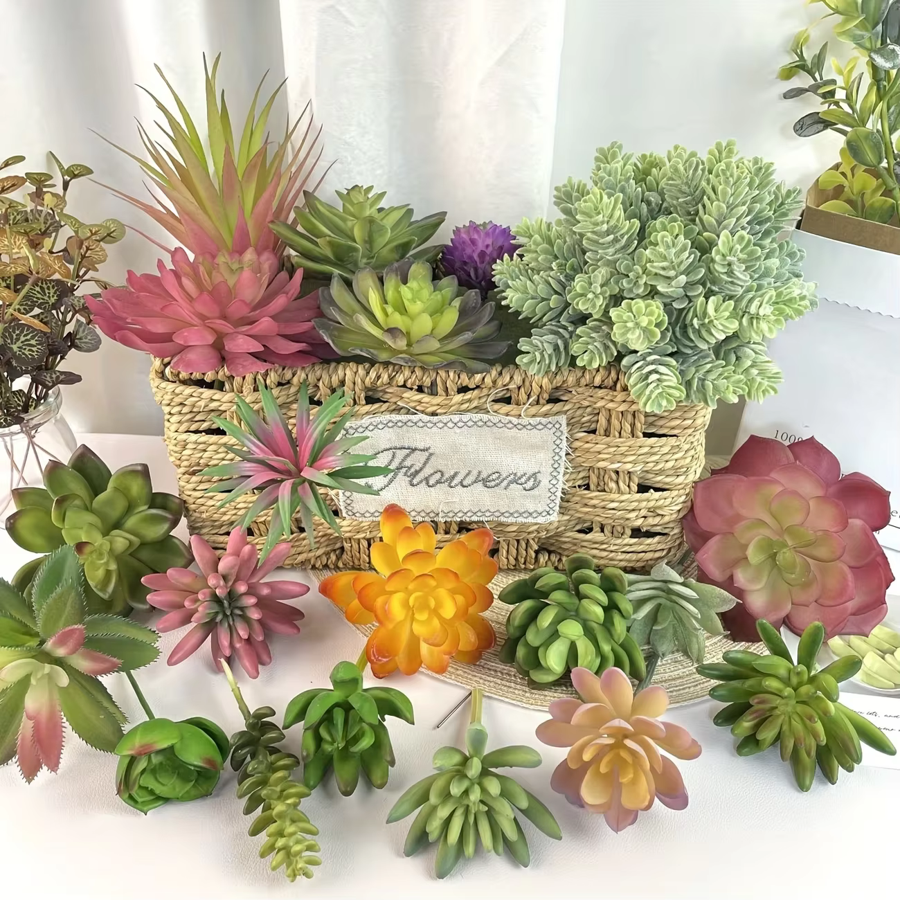 Plantes succulentes en PVC