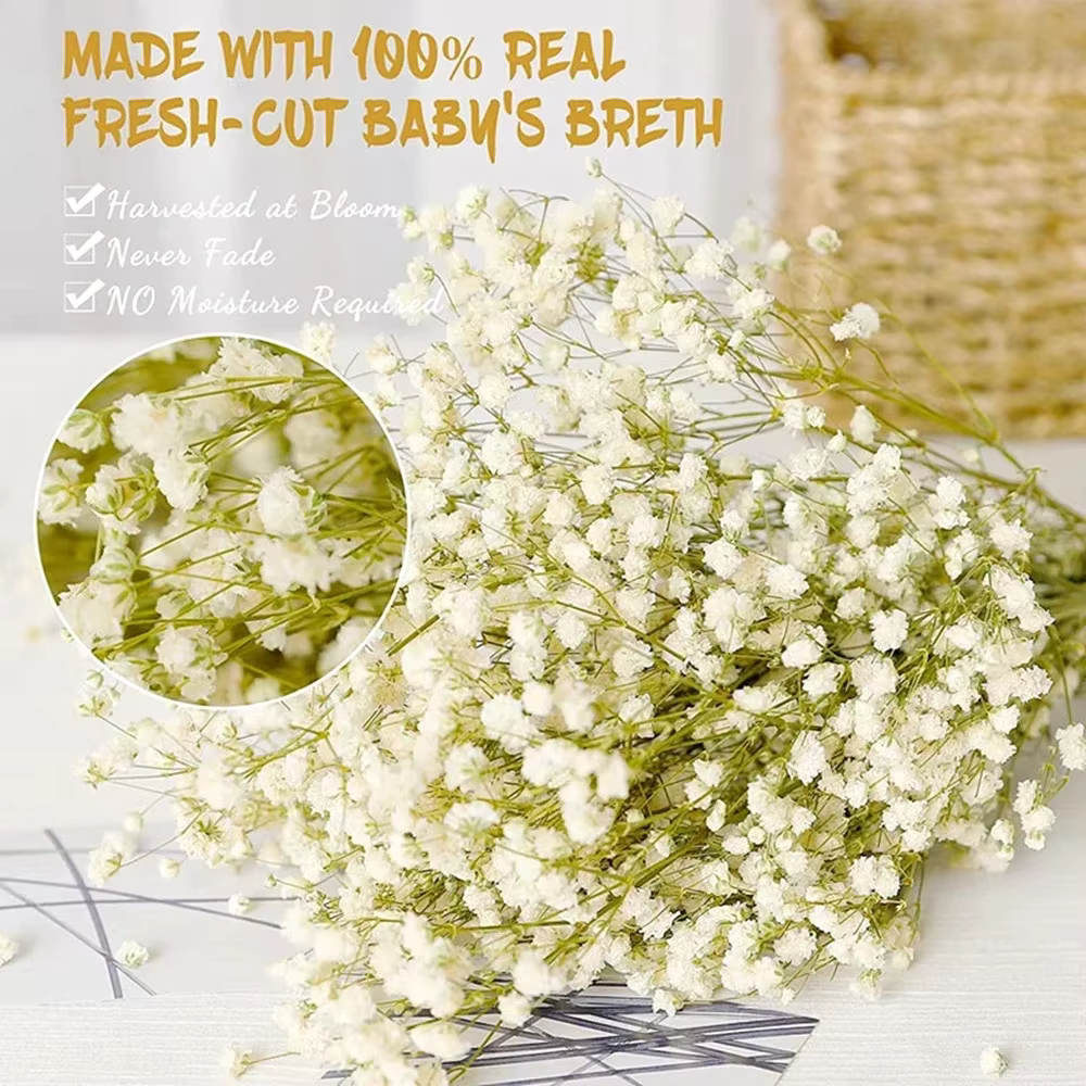 Bouquet de fleurs séchées pour bébé