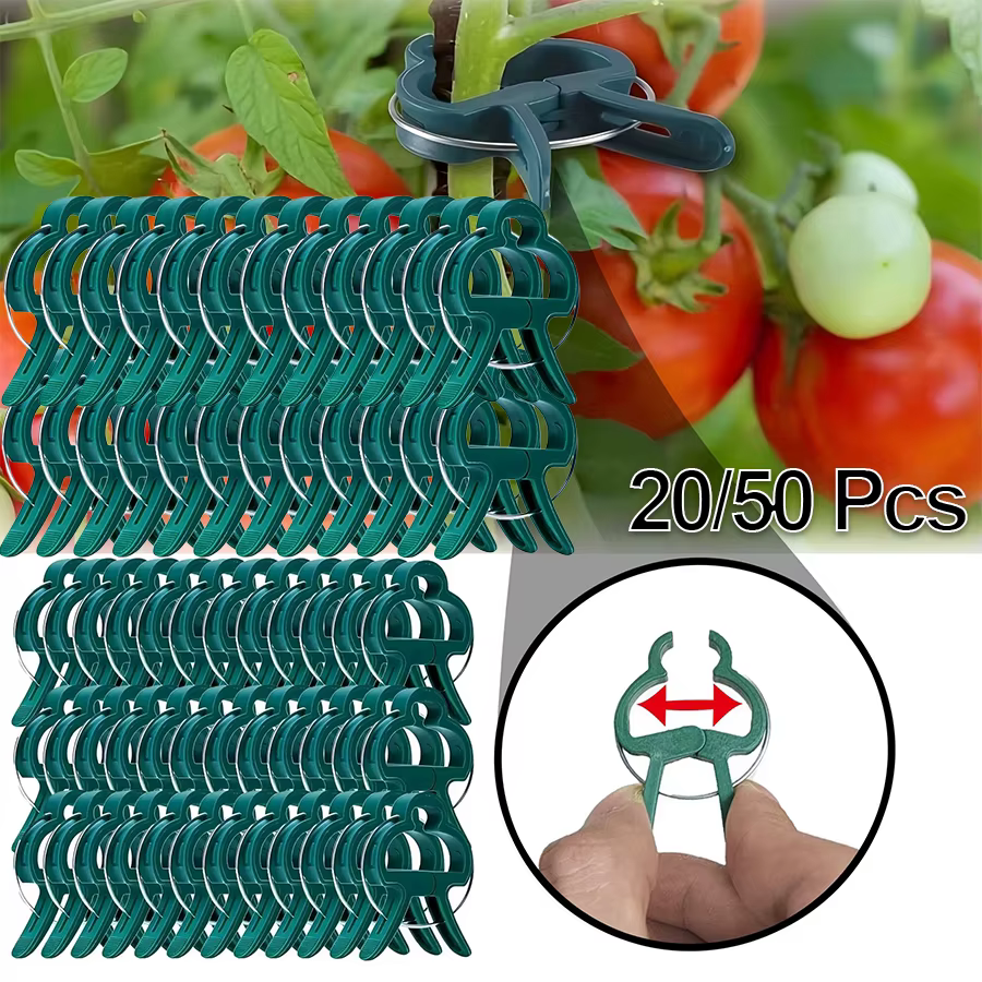 Clips pour plantes grimpantes