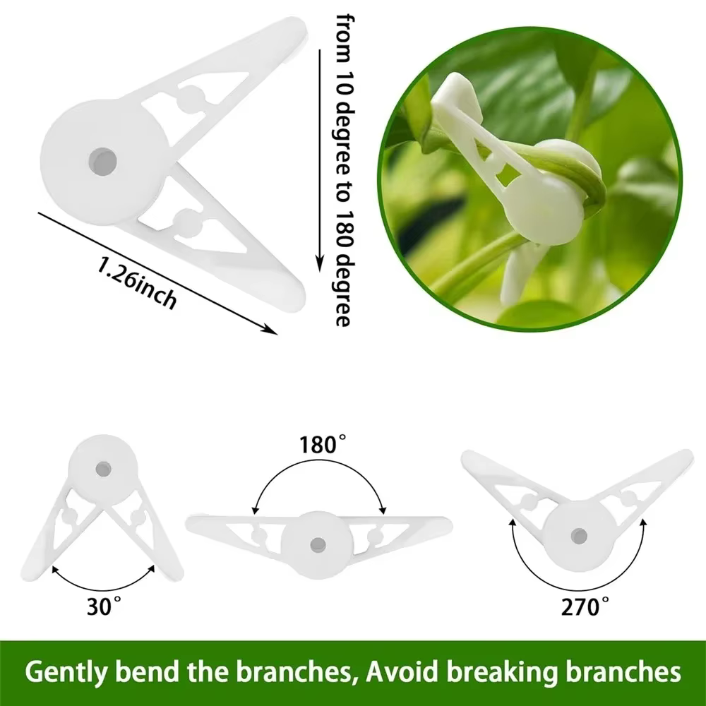 Clips d'entraînement pour cintreuse de Branches de plantes