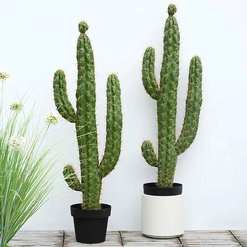 Plante succulente verte artificielle au toucher réaliste avec pot