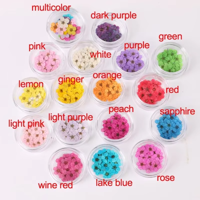Ensemble de petites fleurs séchées Spirea pour décorations Nail Art