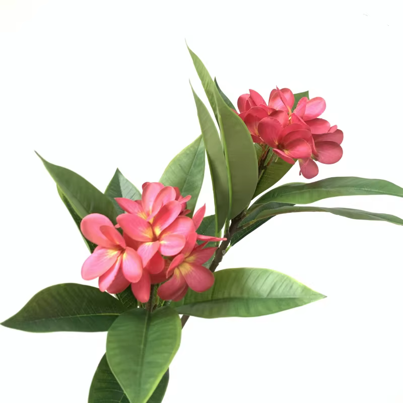 Impression 3D Main Sensation Frangipanier Fleurs Branche