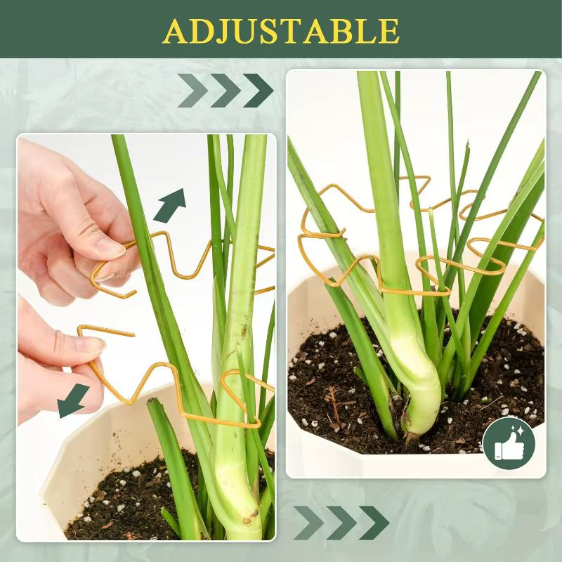 Monstera – Support de tige de plante