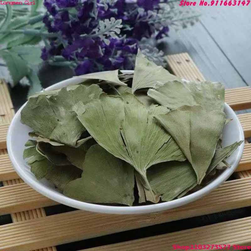 Feuilles séchées de Ginkgo Biloba de haute qualité