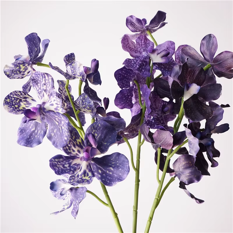 Fleur d'orchidée Vanda artificielle hydratante