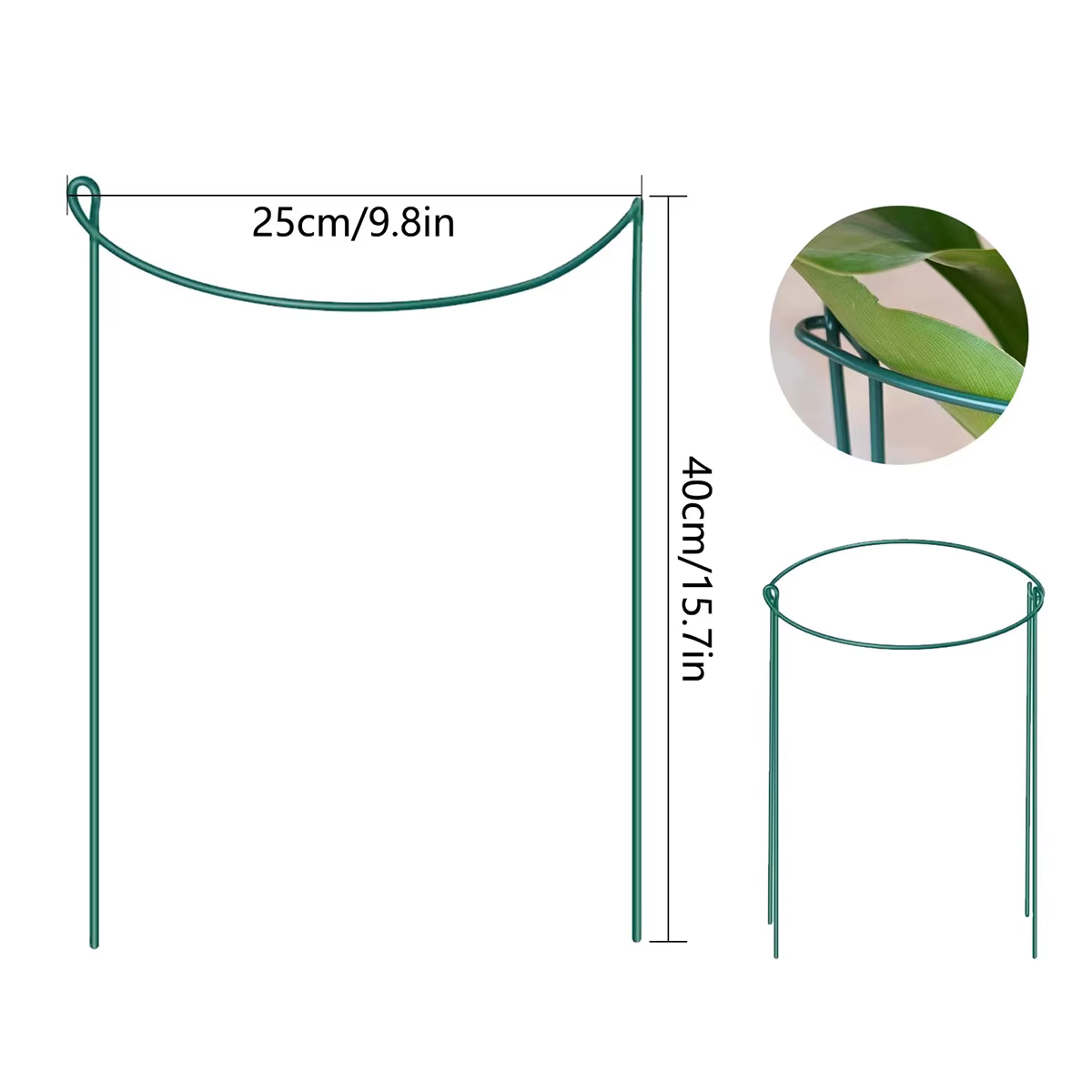 Piquets de Support pour plantes en métal