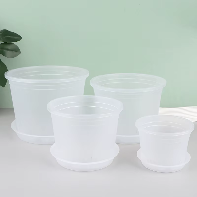 Pot d'orchidée rond Transparent avec/sans plateau
