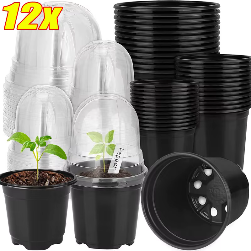 Pots de pépinière de semis