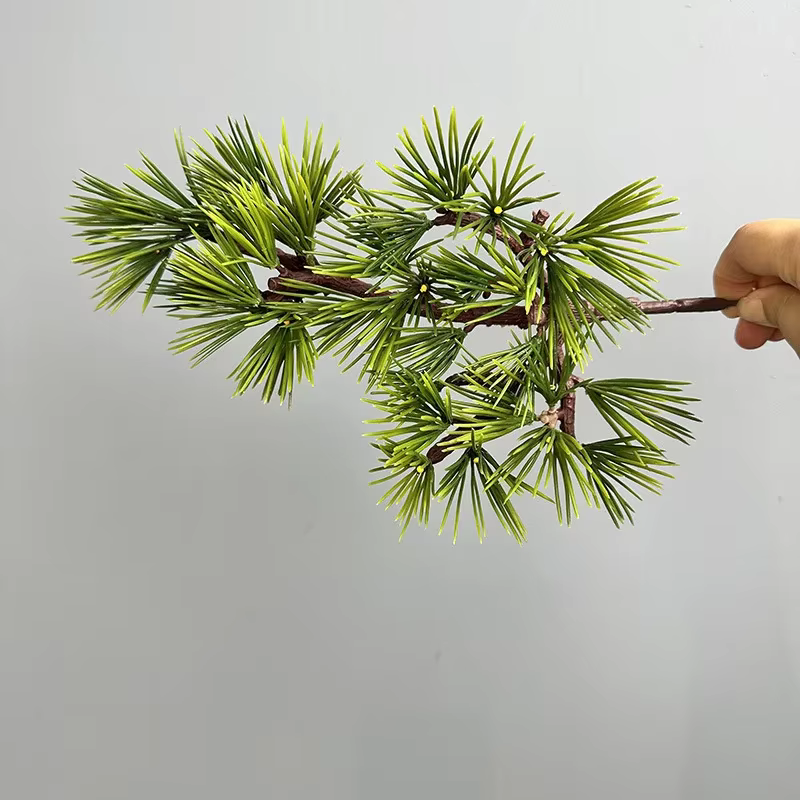 Simulation de branche de Podocarpus