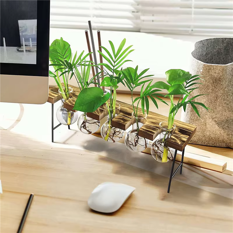 2X Stations de propagation Terrarium de plantes d'air de bureau