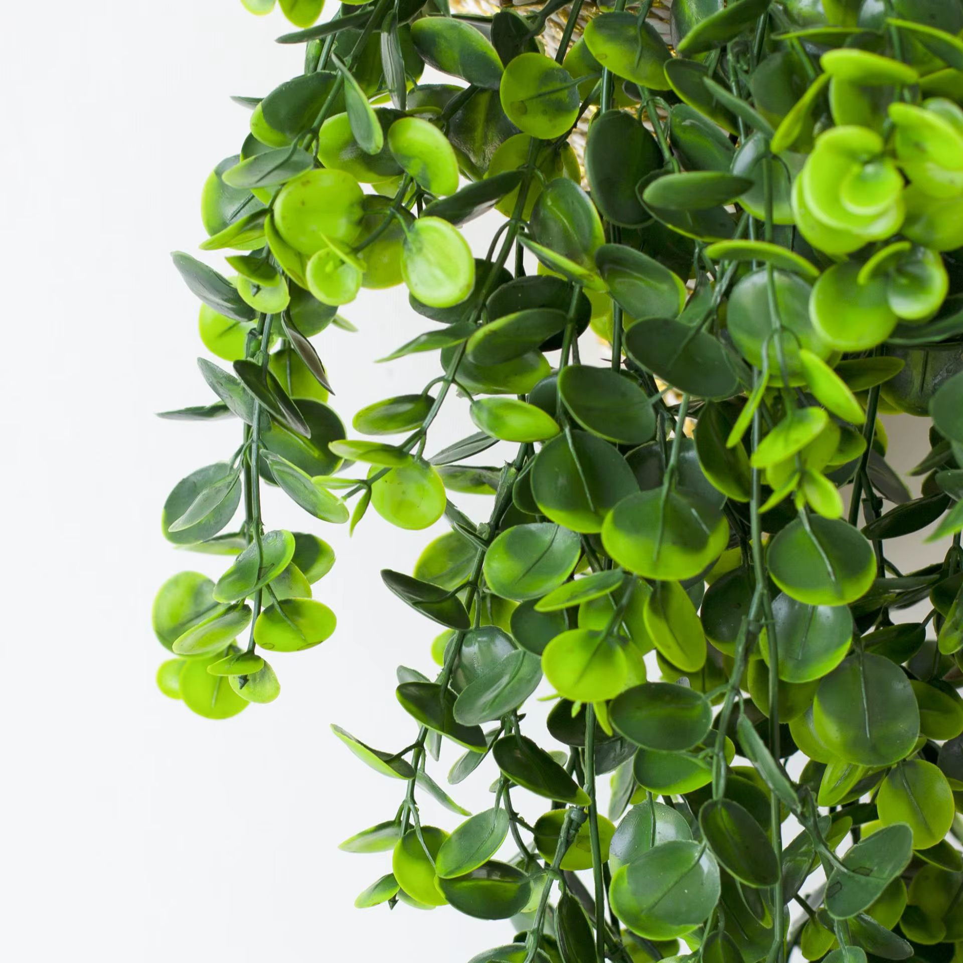 Plante verte artificielle d'eucalyptus