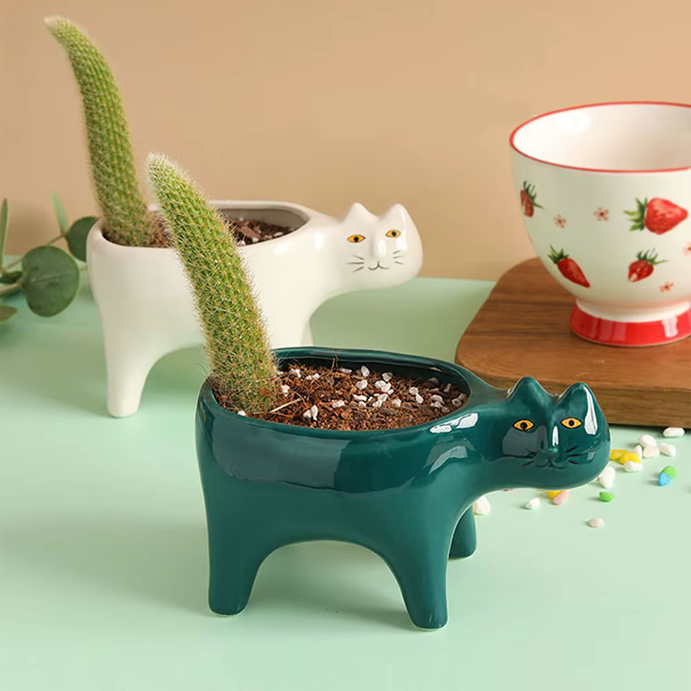 Pot de plantes Cactus en céramique