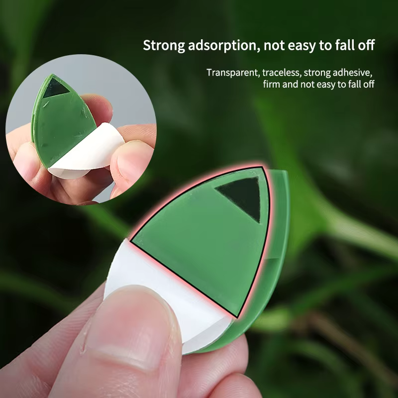 Fixation murale Invisible pour plantes grimpantes