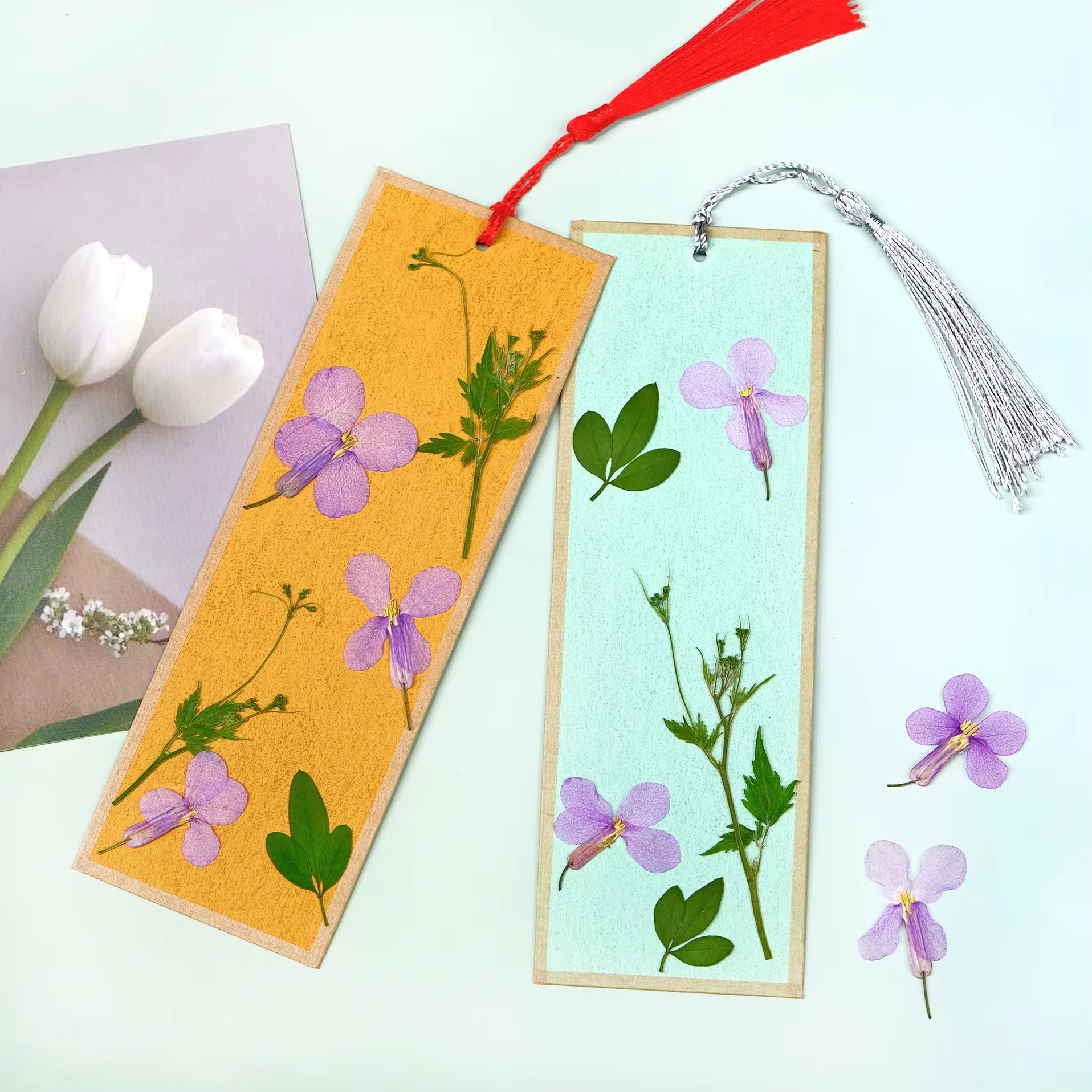 12 pièces, fleurs séchées pressées d'orchidées de février-spécimens