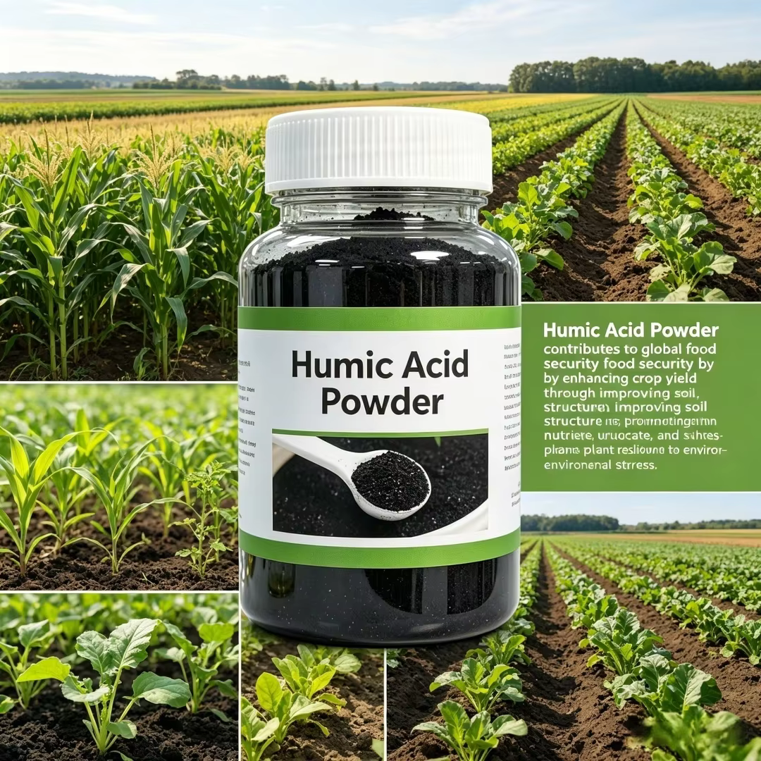 Poudre d'humate de sodium biologique