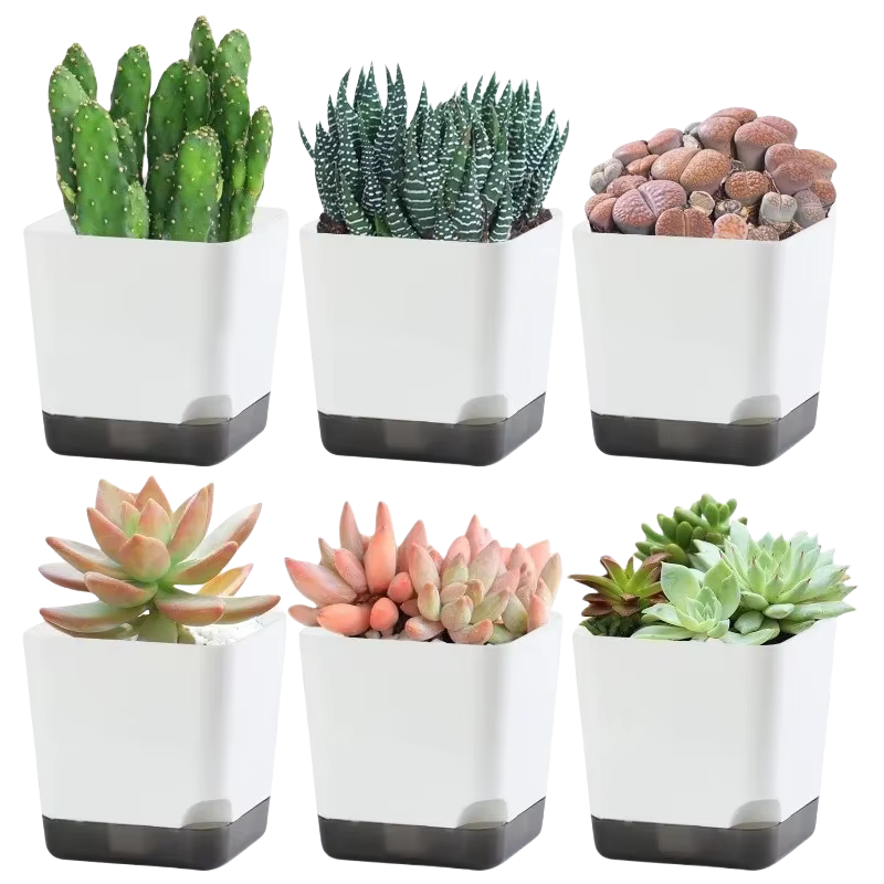 Pots de plantes 5 pièces