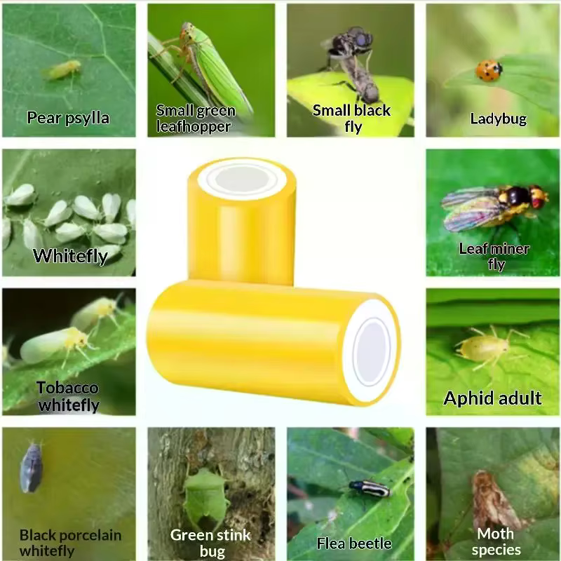 Ruban anti-parasites pour jardin