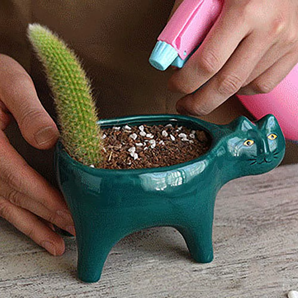 Pot de balcon en Pot pour chat succulent