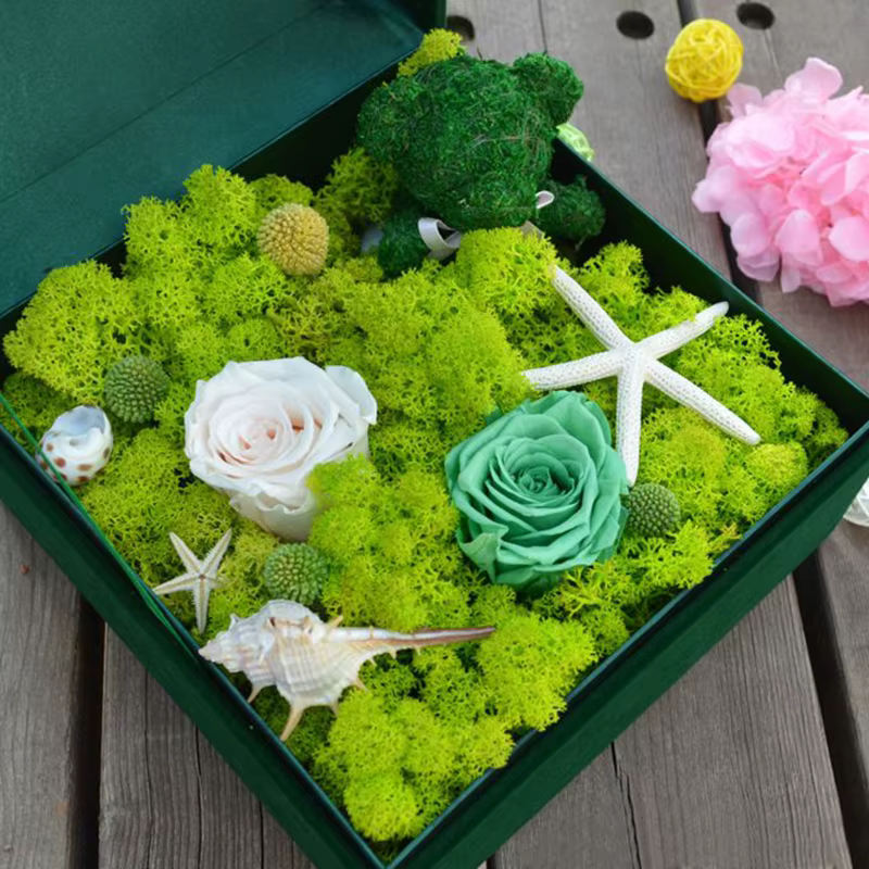 Mousse Naturelle Artificielle pour Décoration de Jardin