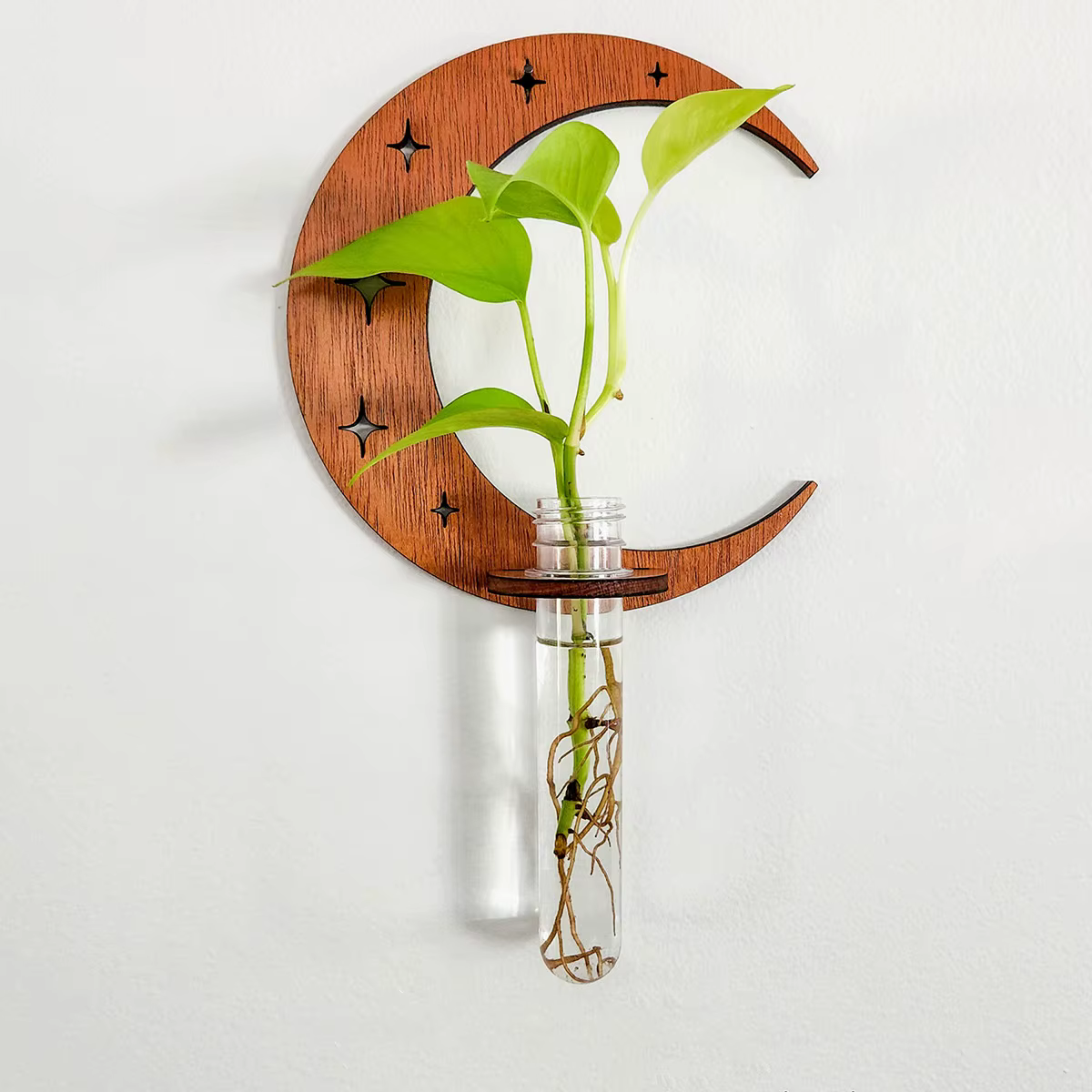 Station de Propagation des plantes