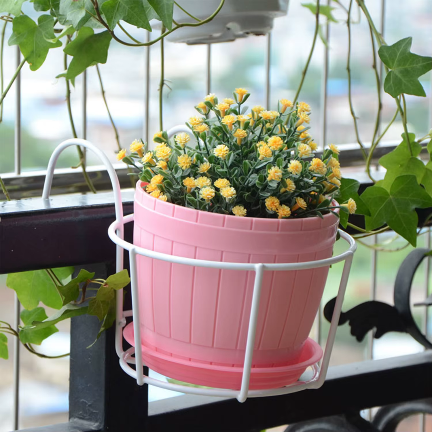 Mur en pot de plantes vertes charnues