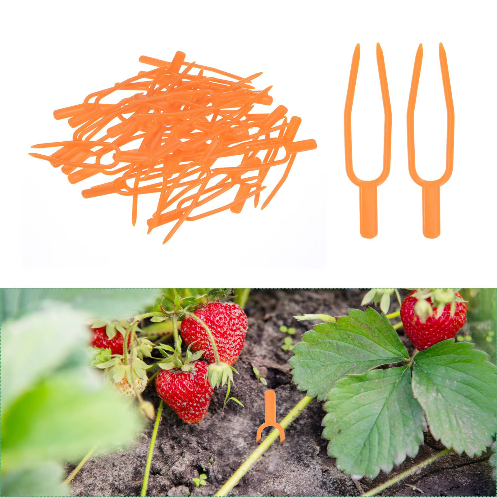 Lot de 50 attaches de jardinage en plastique