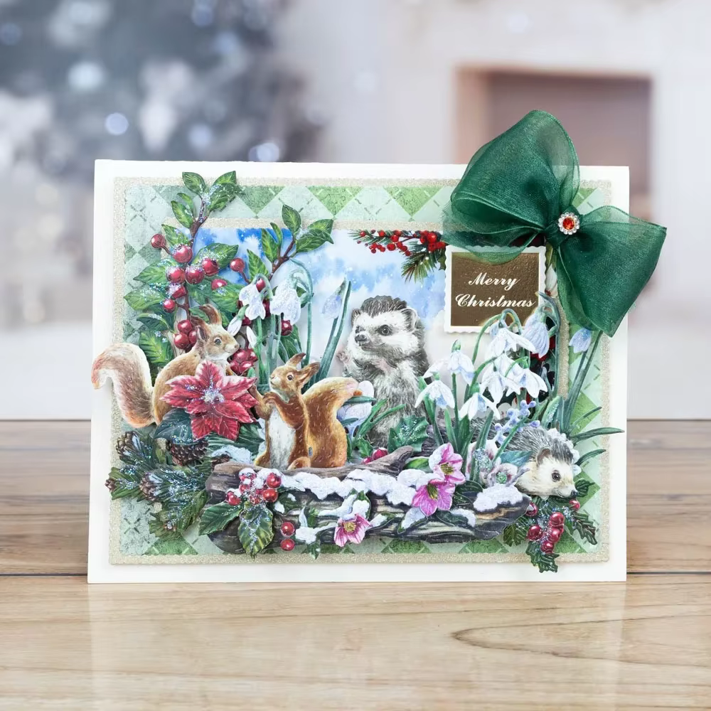 Nouvelle collection de matrices florales givrées 2026 pour scrapbooking