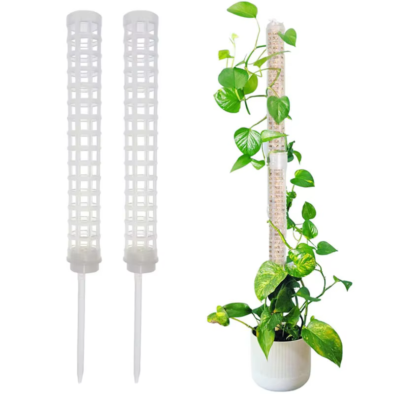 Cadre d'escalade pour plantes d'intérieur