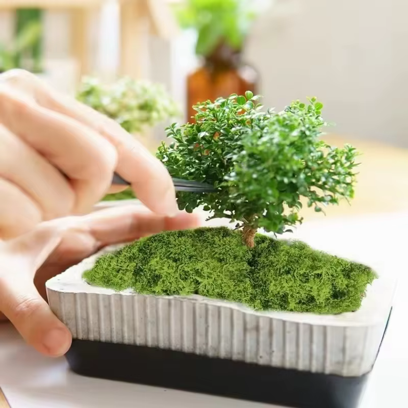 Plantes vertes artificielles