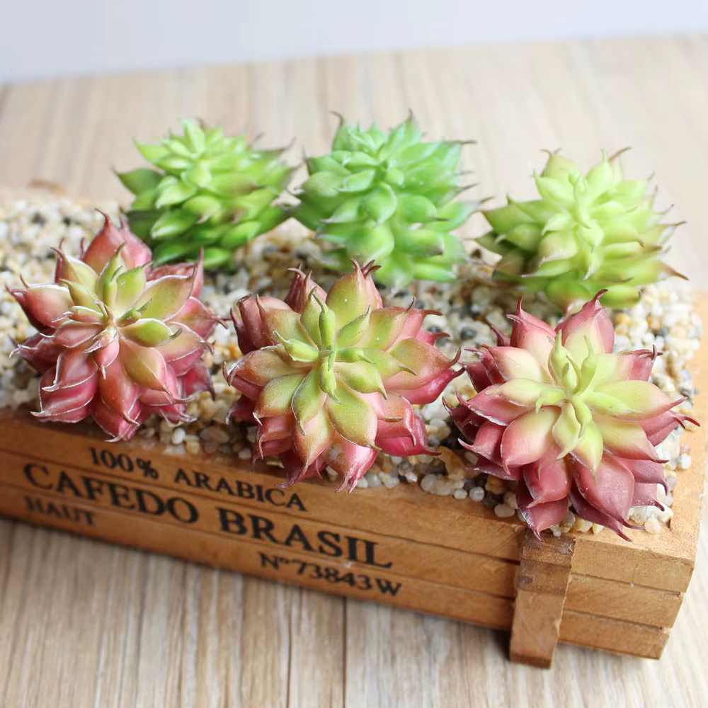 Mini plantes succulentes artificielles Lotus