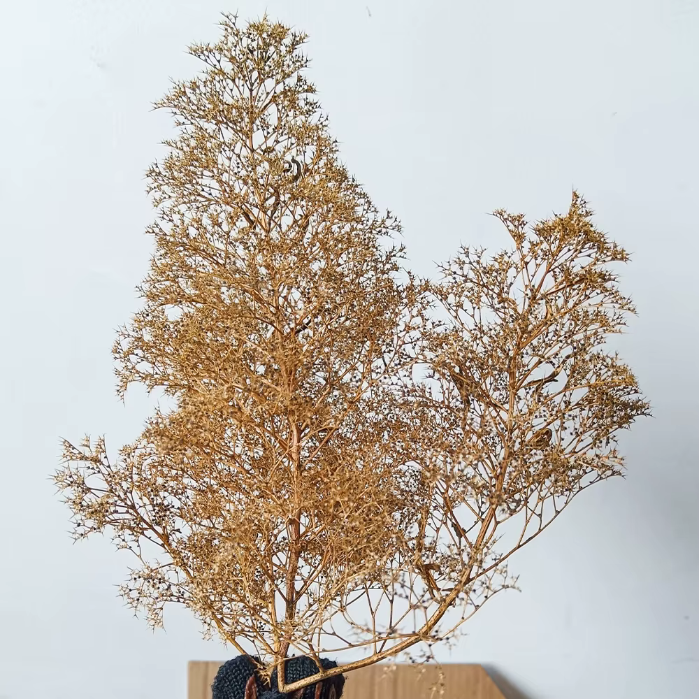 Arbres en mousse de mer