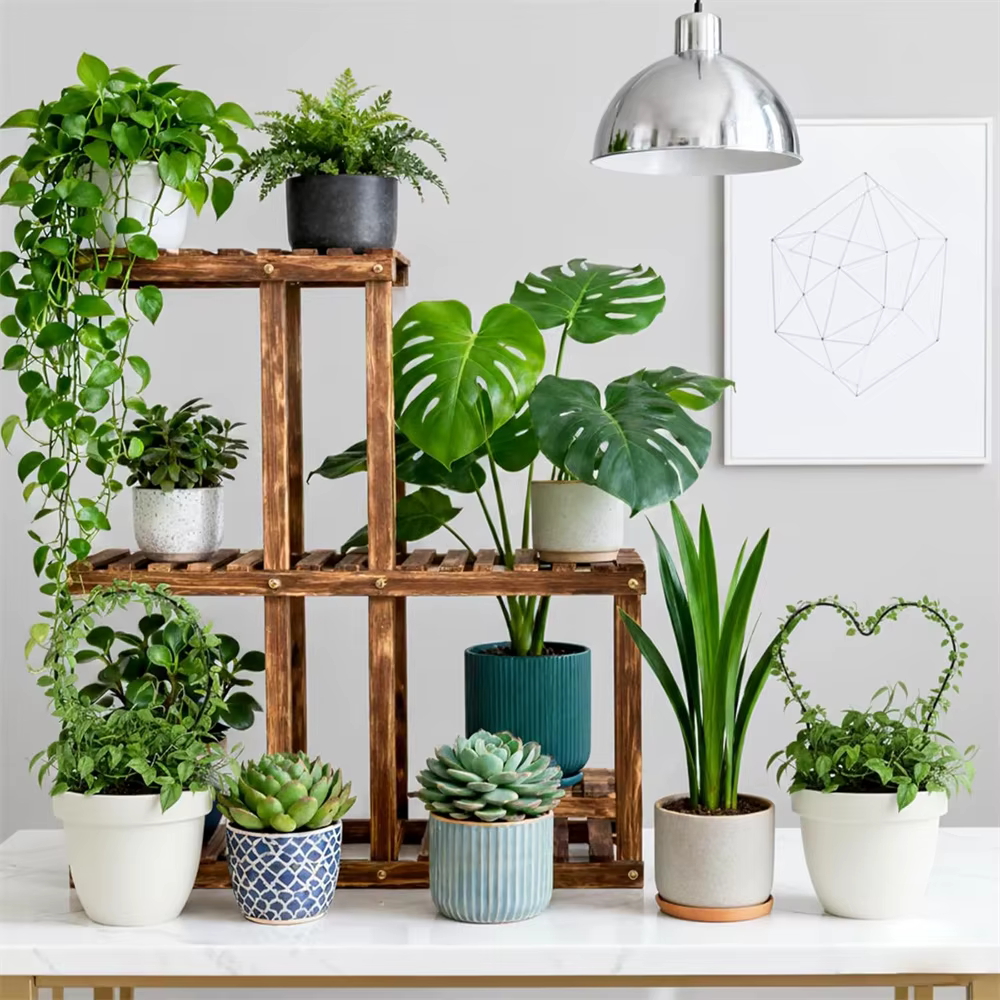 Trellis pour plantes d'intérieur